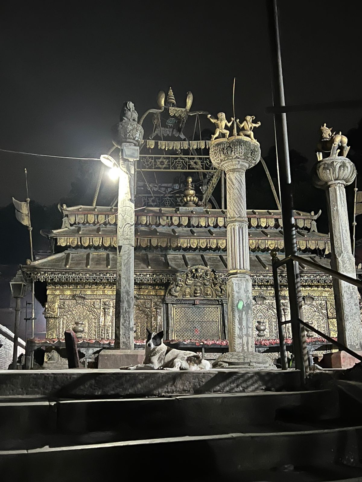 guheyshwori-mrigasthali-gaushala-kathmandu-178.jpg