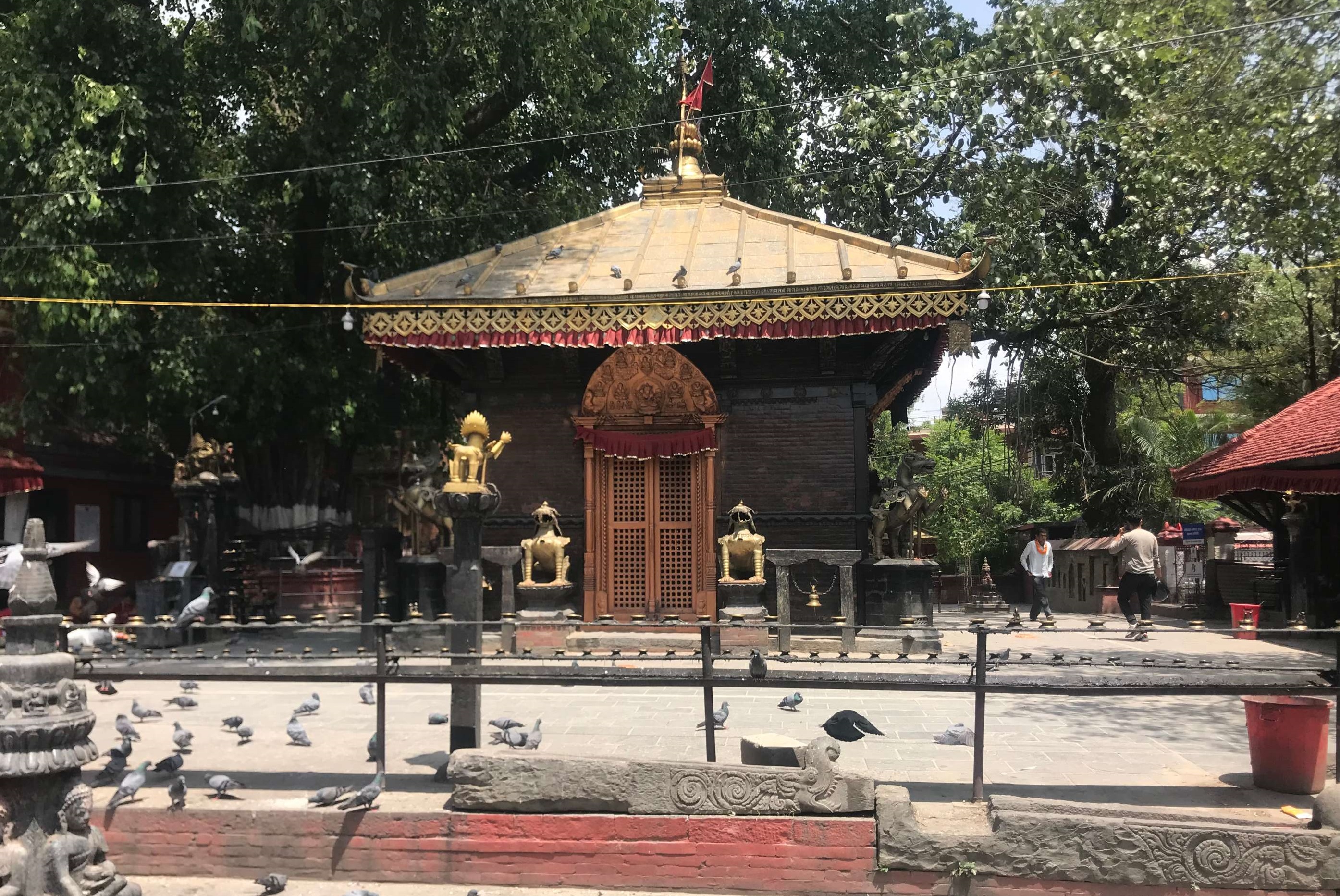 maitidevi-shaktipith-kathmandu-174.jpg