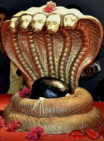 mallikarjun-jyotirlinga-85.jpg