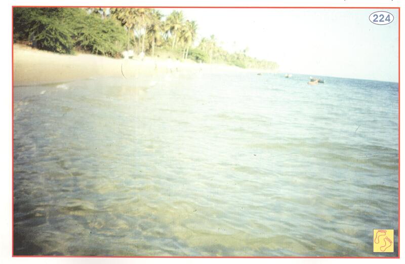 setu-ke-avshesh-chhedukarai-ramnathpuram-tamilnadu-134.jpg