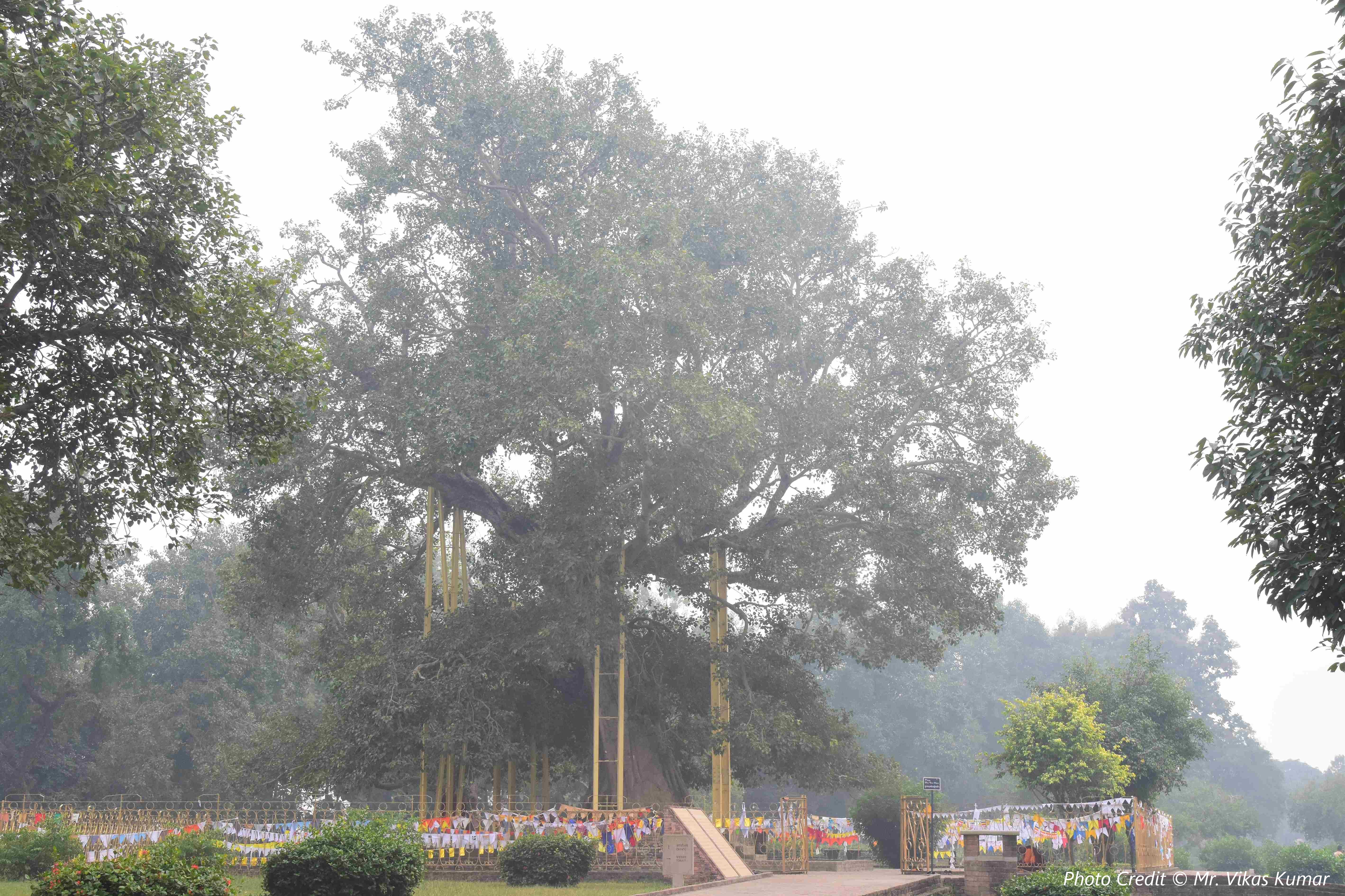 shravasti-site-of-the-miracle-of-the-pairs-45.jpg